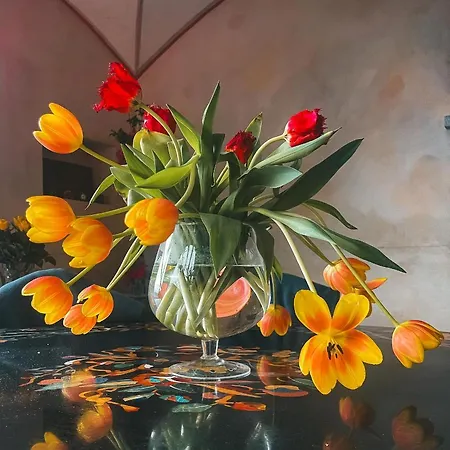 Di Sotto, House & Breakfast