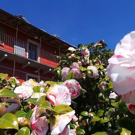 住宿加早餐酒店 卡瑟迪索托住宿加早餐酒店 *